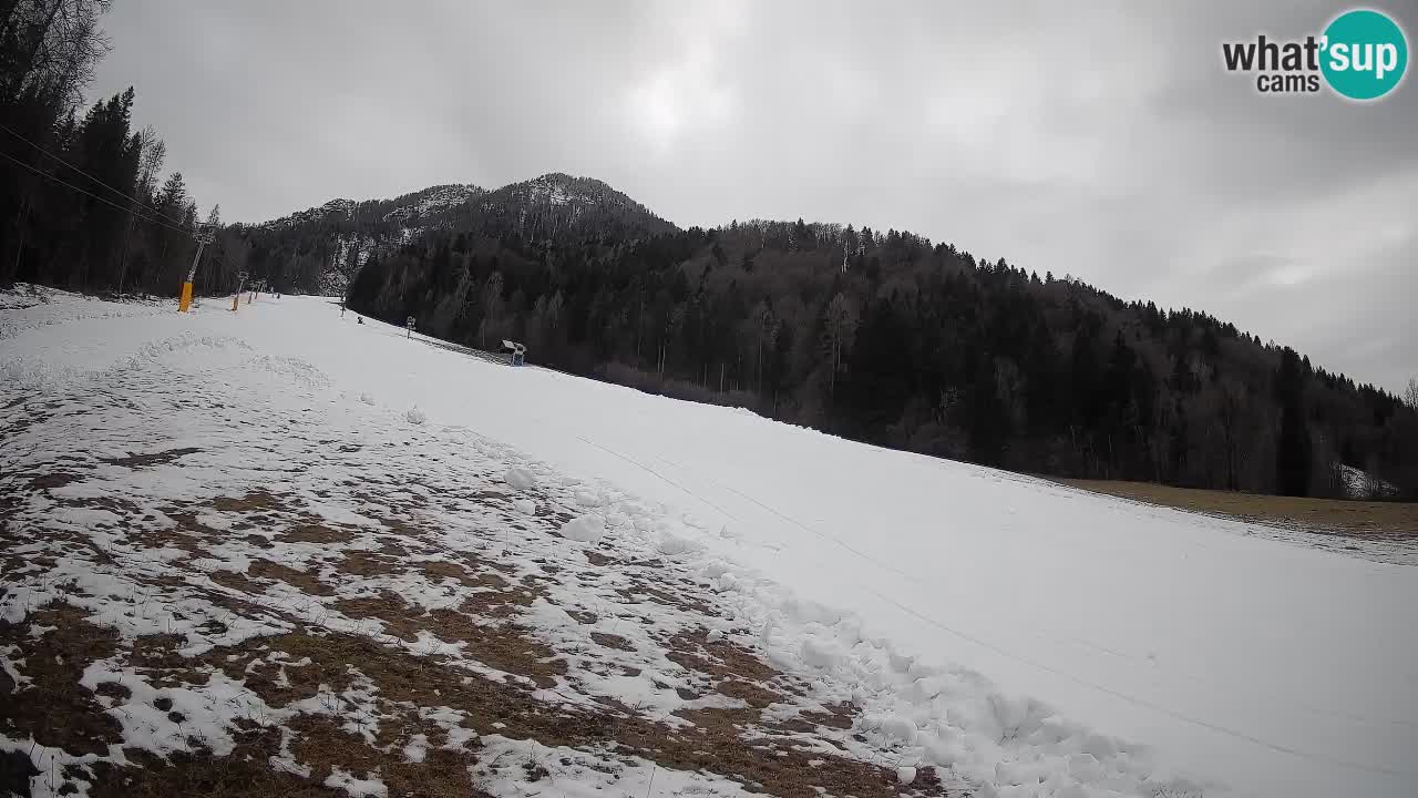 Comprensorio sciistico Kranjska Gora | Brsnina