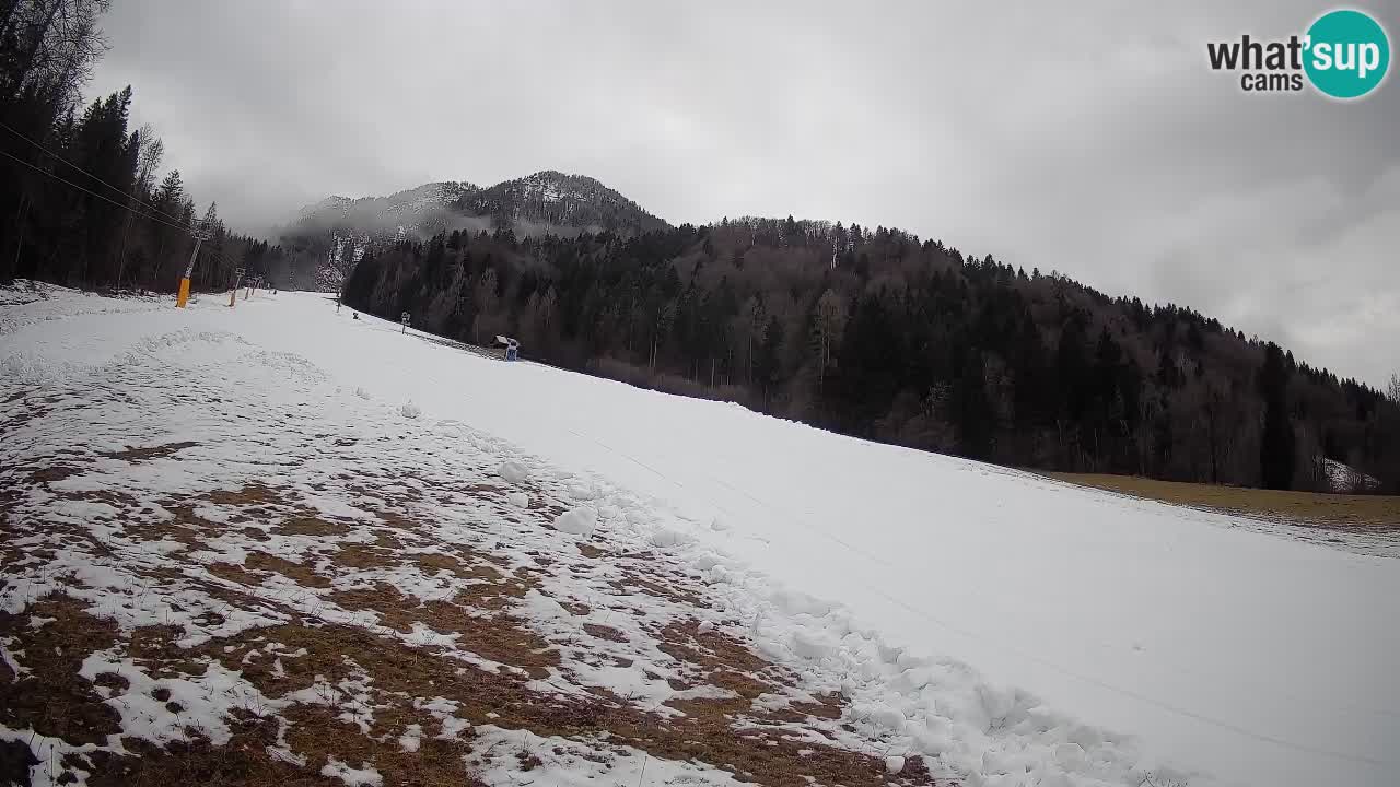 Ski Kranjska Gora | Brsnina