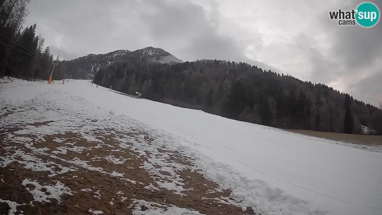 Kranjska Gora Station de ski | Brsnina