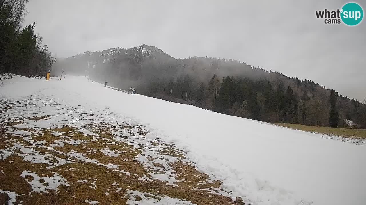 Kranjska Gora Station de ski | Brsnina