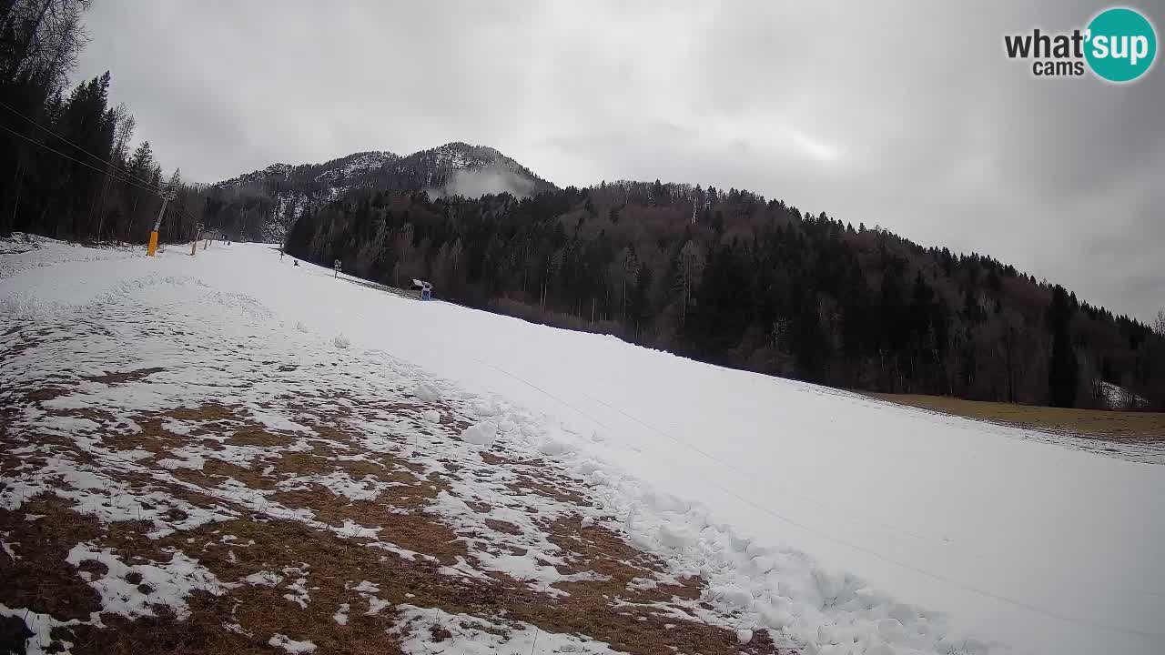 Kranjska Gora Station de ski | Brsnina