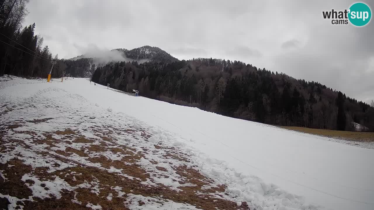 Ski Kranjska Gora | Brsnina