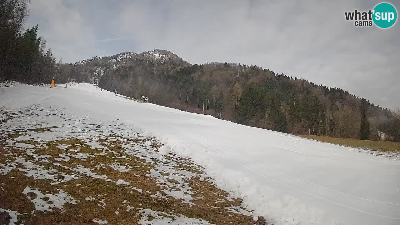 Ski Kranjska Gora | Brsnina