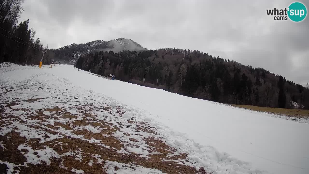 Kranjska Gora SKIJANJE | Brsnina