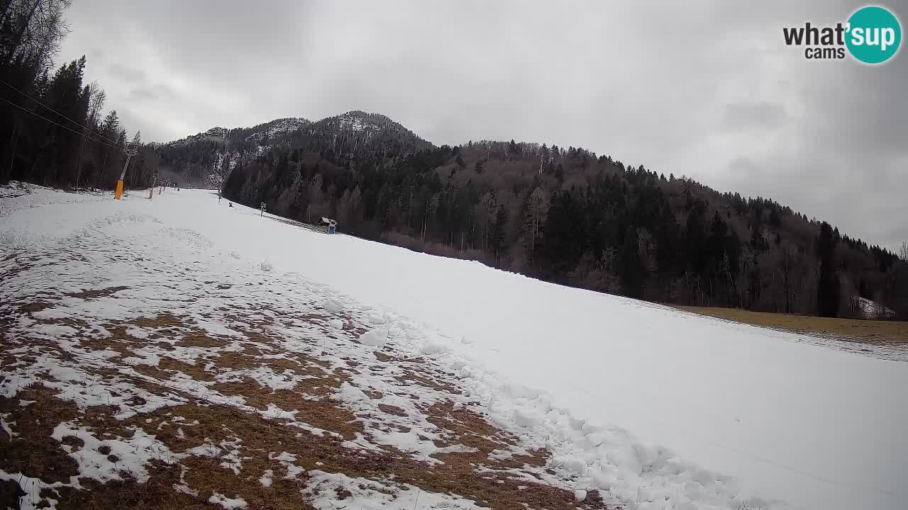 Kranjska Gora SKIJANJE | Brsnina