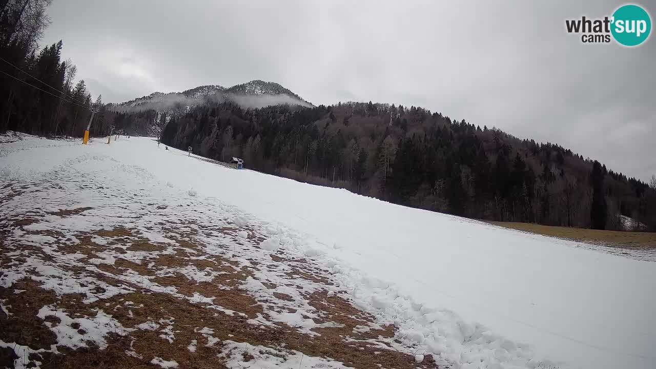 Comprensorio sciistico Kranjska Gora | Brsnina