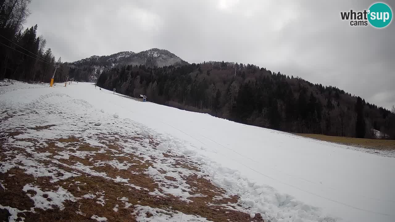 RTC Kranjska Gora | Brsnina