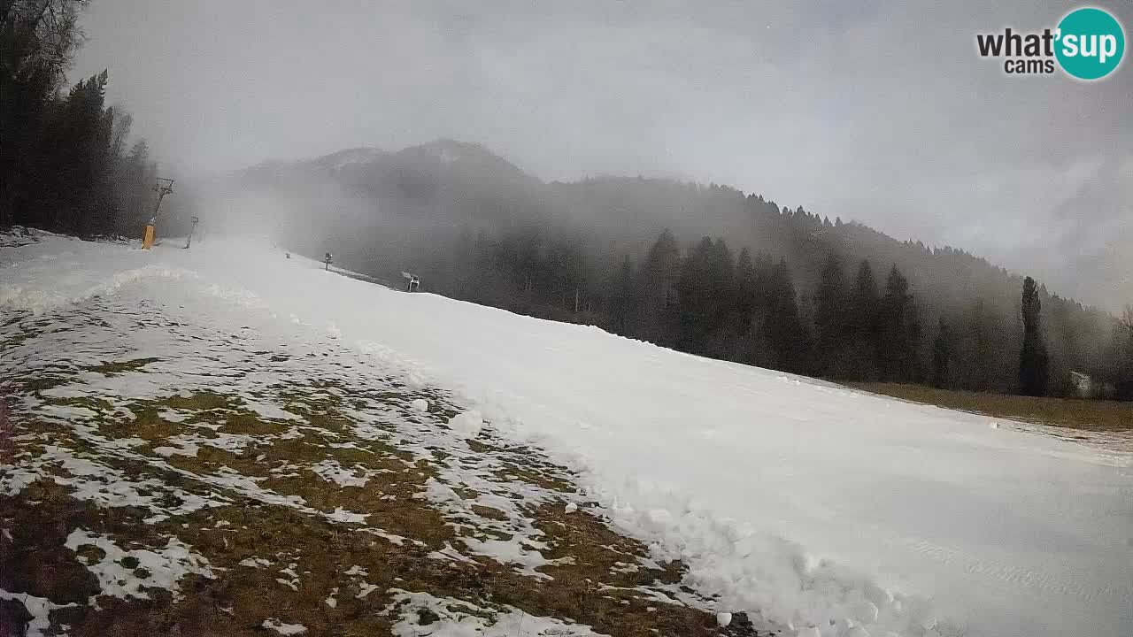 Ski Kranjska Gora | Brsnina