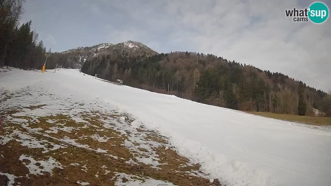 Ski Kranjska Gora | Brsnina