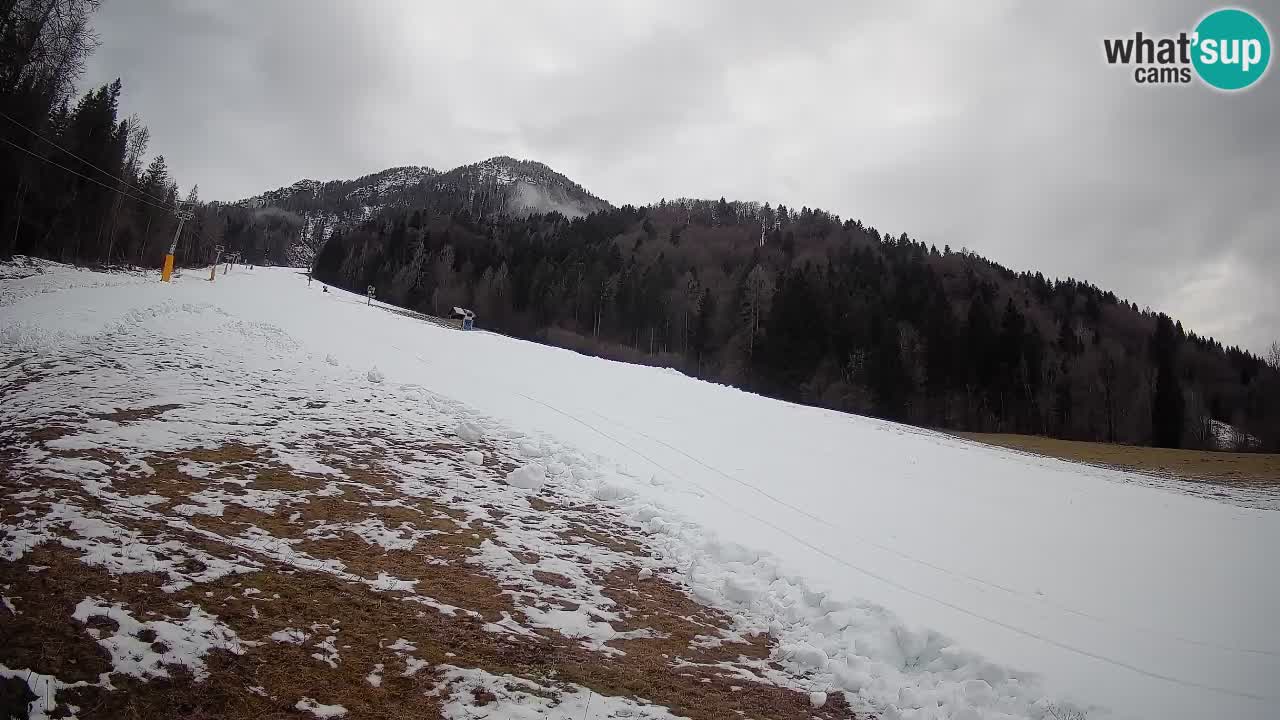 Kranjska Gora SKIJANJE | Brsnina