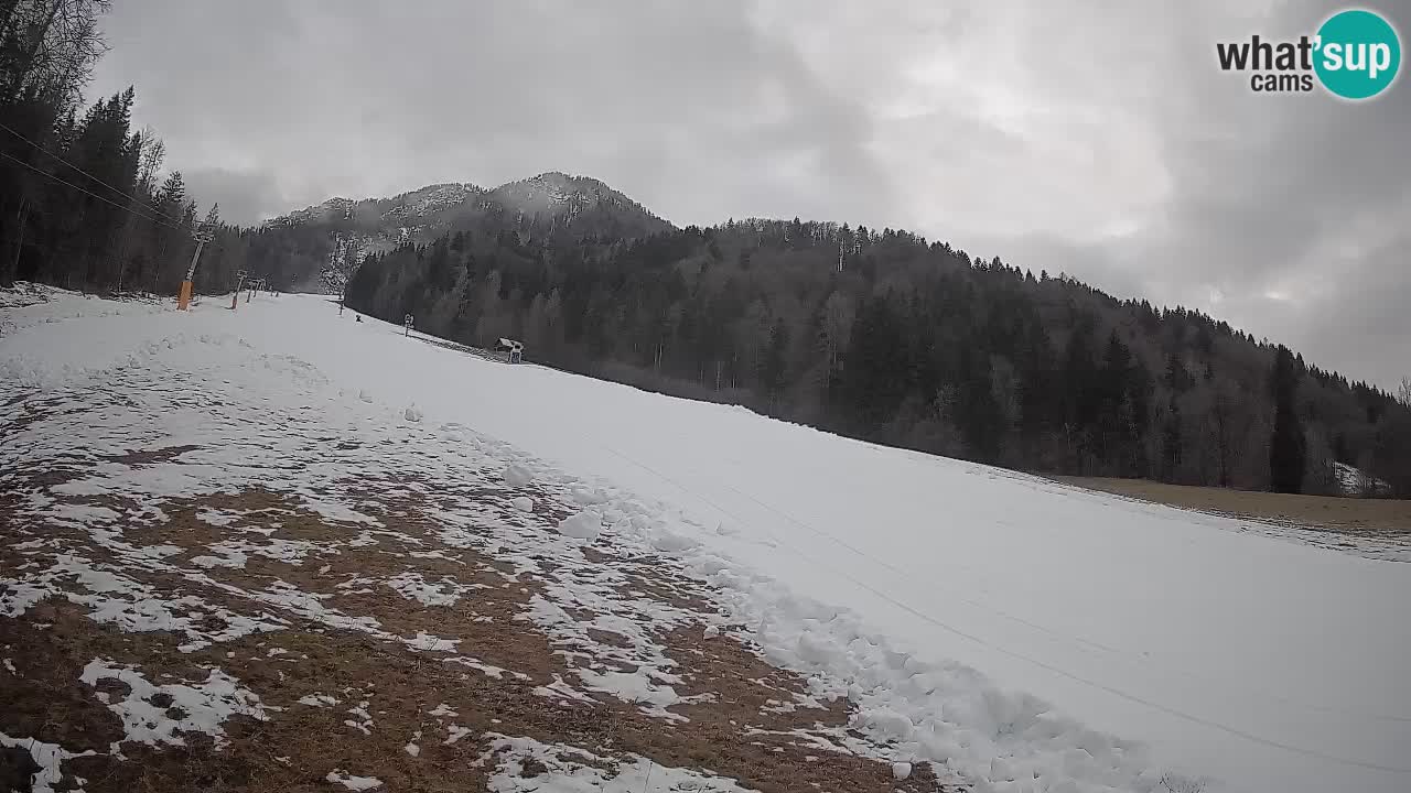 Esquí Kranjska Gora | Brsnina