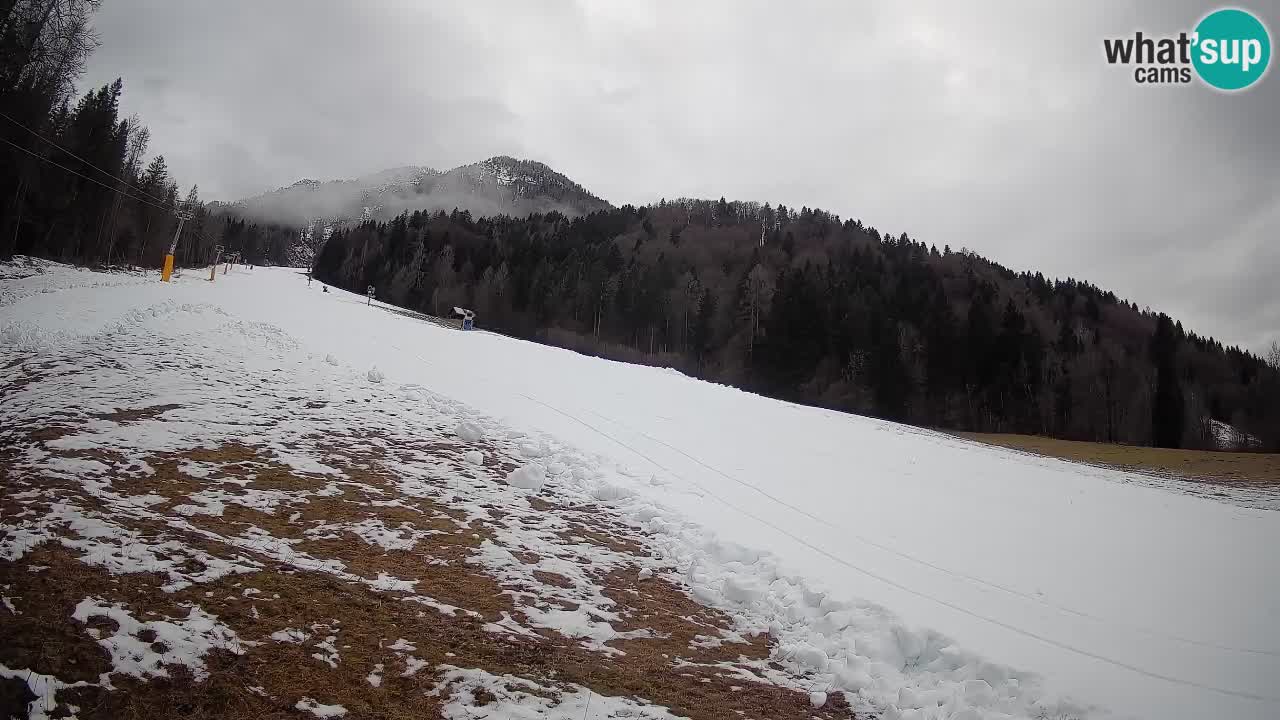 Kranjska Gora SKIJANJE | Brsnina