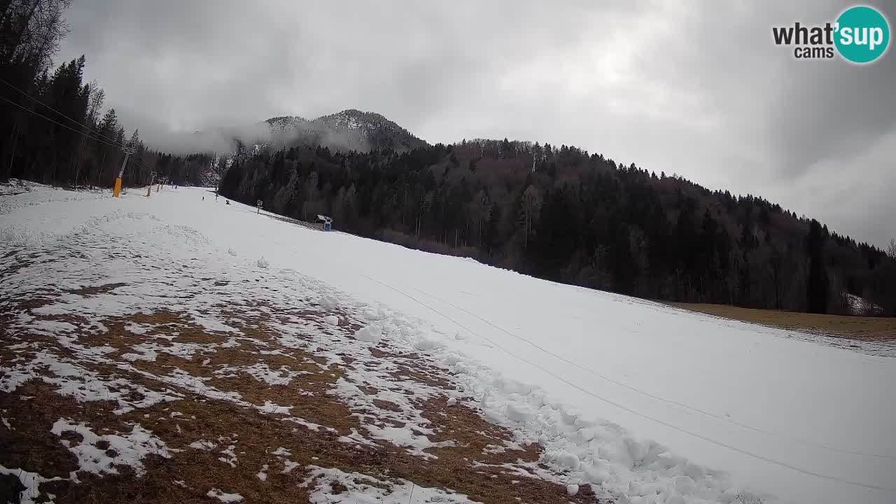 Ski Kranjska Gora | Brsnina