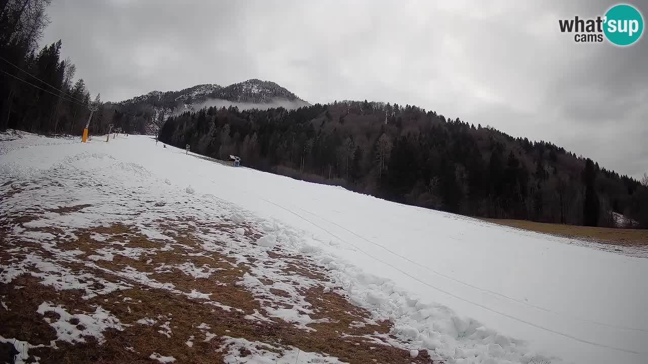 RTC Kranjska Gora | Brsnina