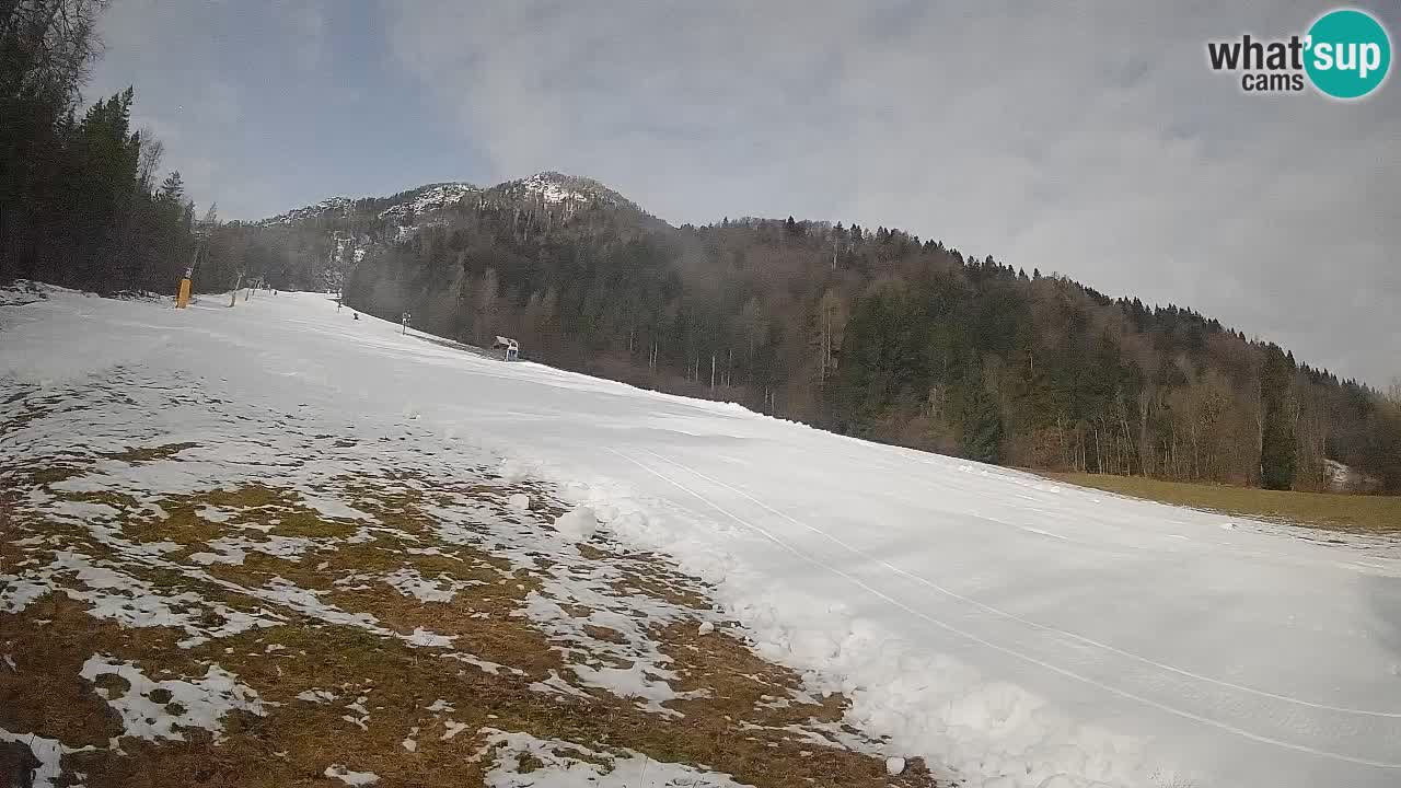 Kranjska Gora Station de ski | Brsnina