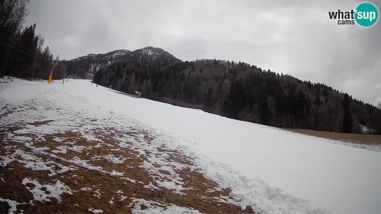 Comprensorio sciistico Kranjska Gora | Brsnina