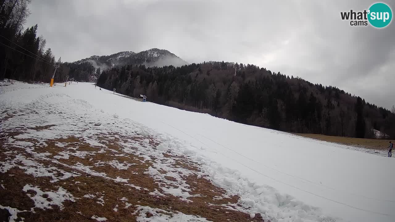 Kranjska Gora Station de ski | Brsnina