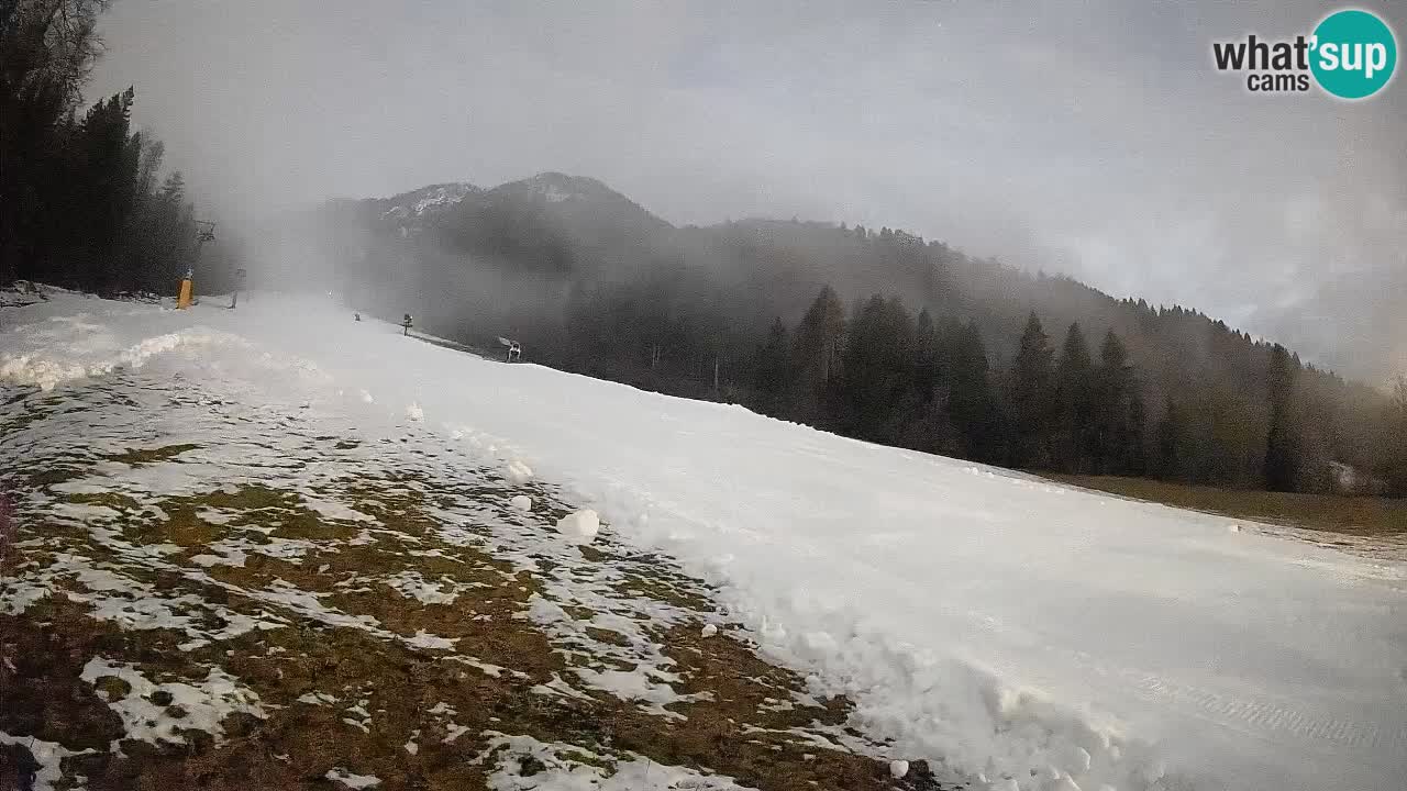 Comprensorio sciistico Kranjska Gora | Brsnina