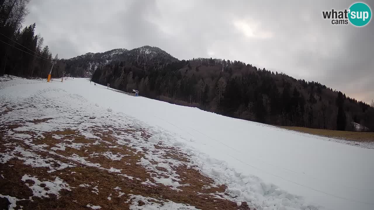 Comprensorio sciistico Kranjska Gora | Brsnina