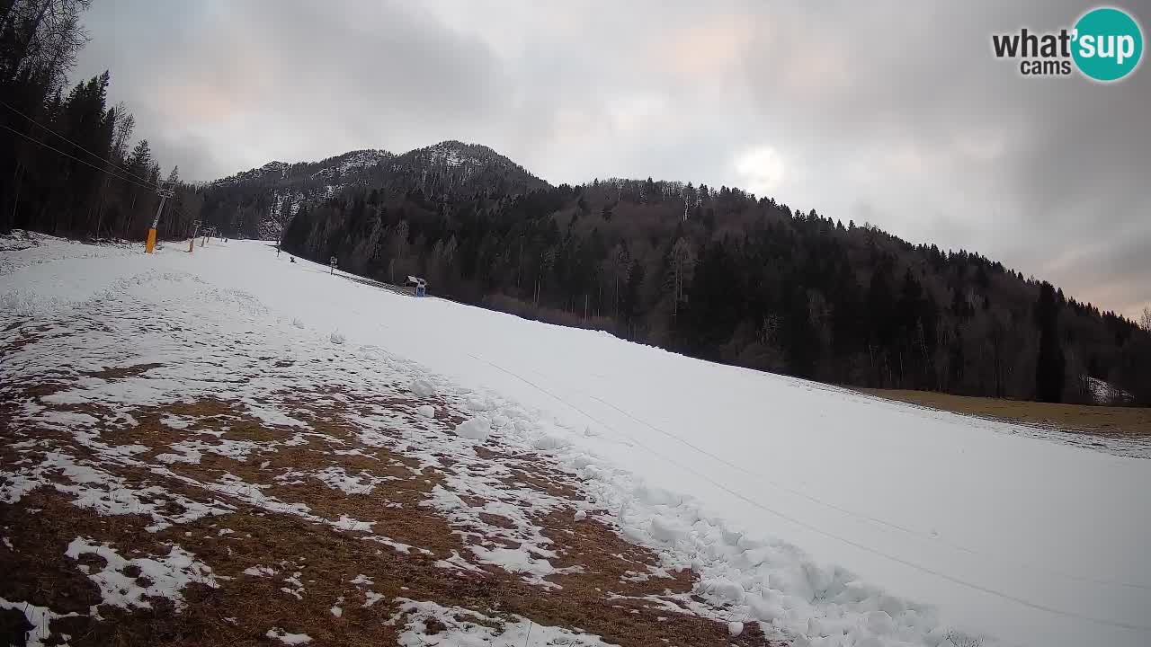 Kranjska Gora SKIJANJE | Brsnina