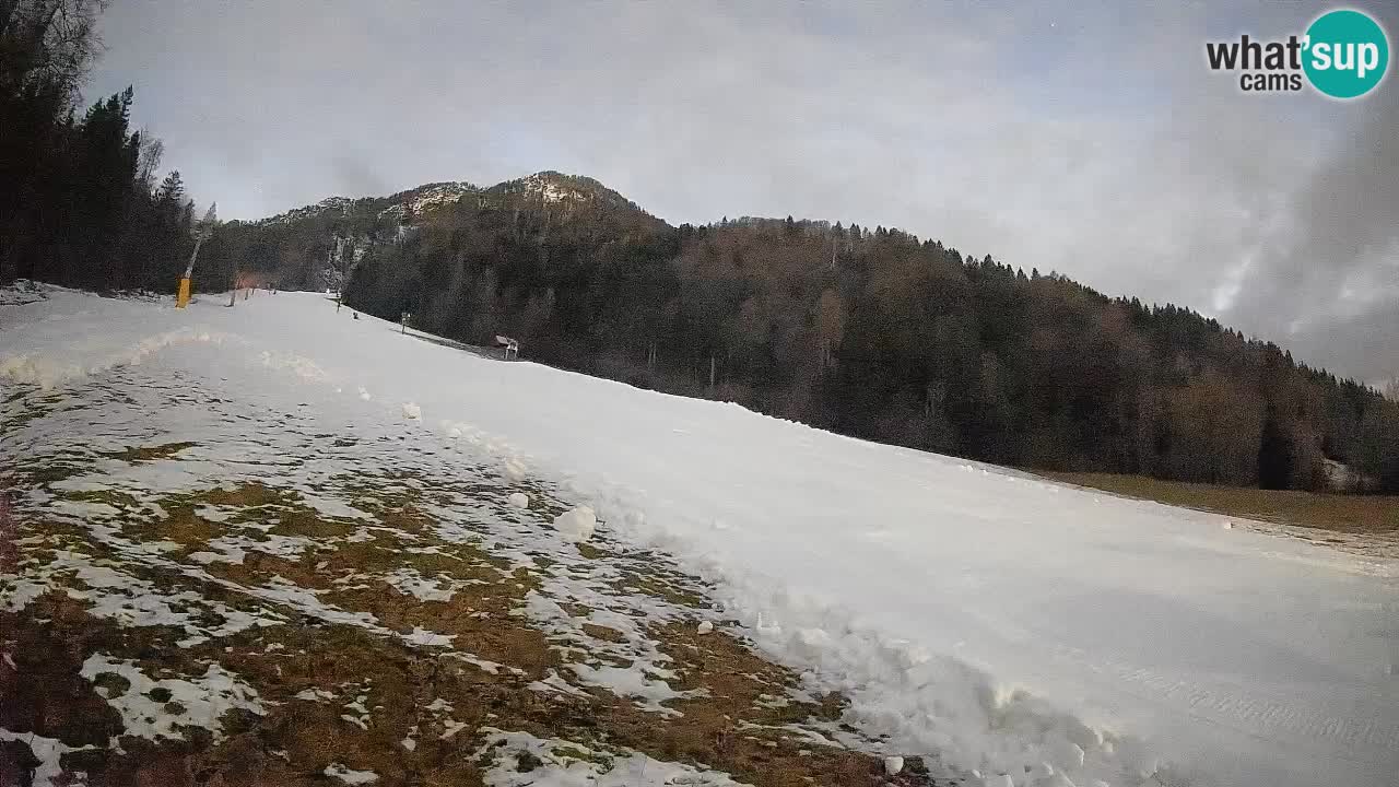 Comprensorio sciistico Kranjska Gora | Brsnina