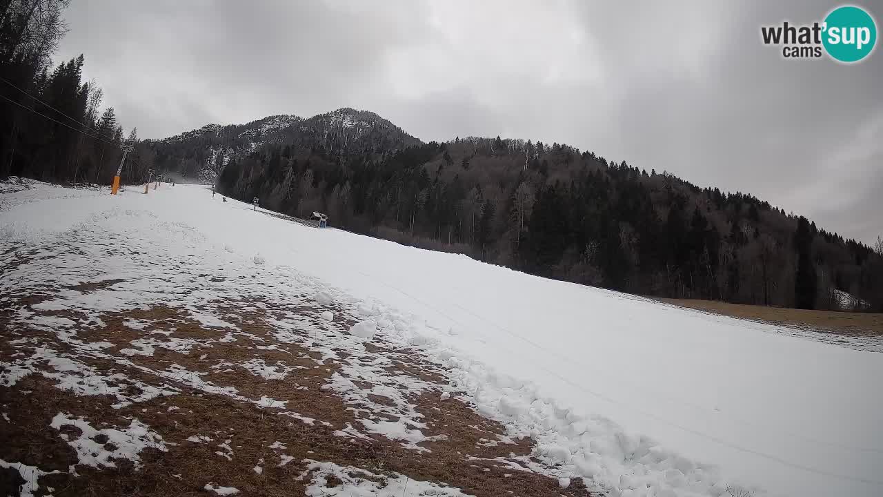 Esquí Kranjska Gora | Brsnina