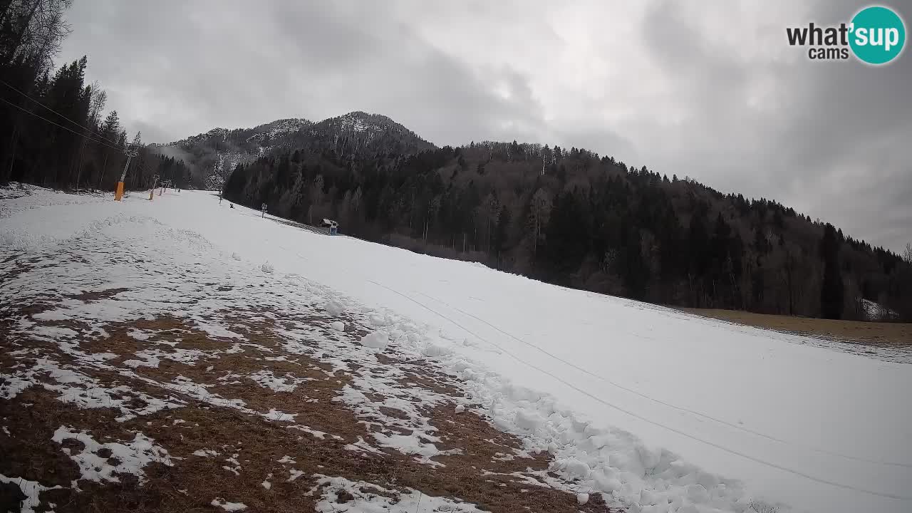 Kranjska Gora SKIJANJE | Brsnina