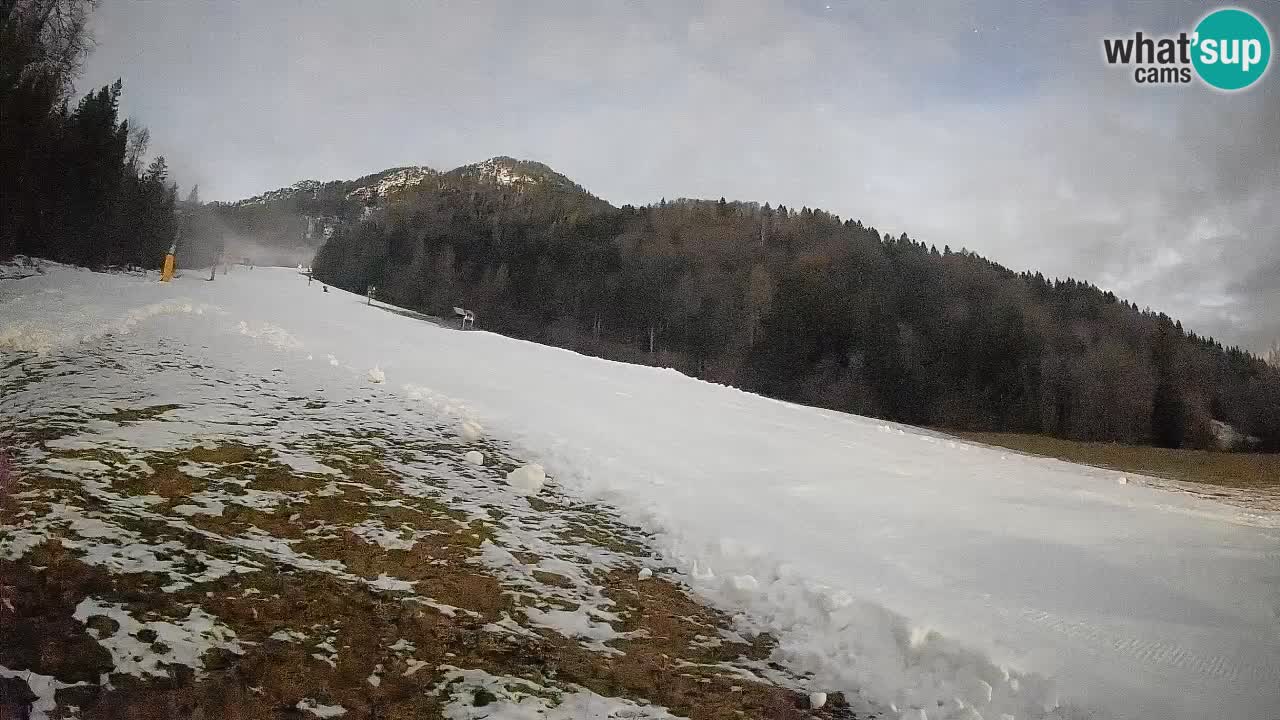 Kranjska Gora SKIJANJE | Brsnina