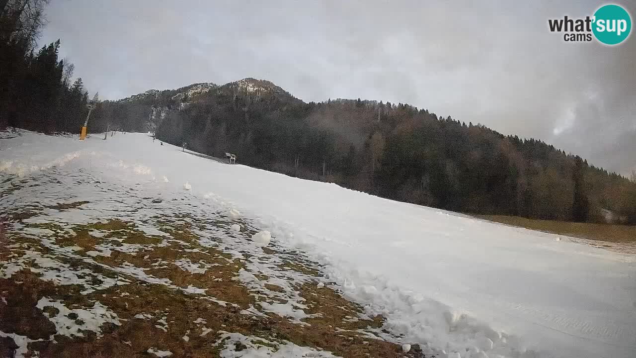 Ski Kranjska Gora | Brsnina