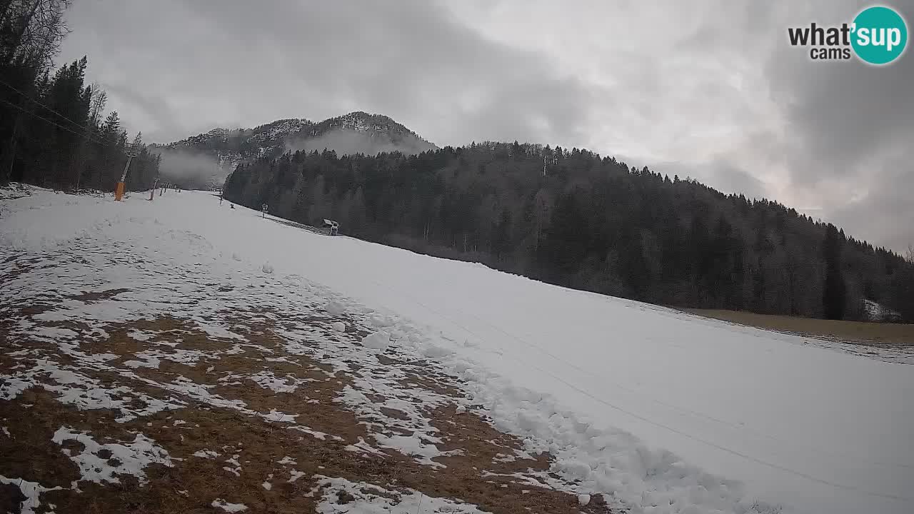 Kranjska Gora Station de ski | Brsnina