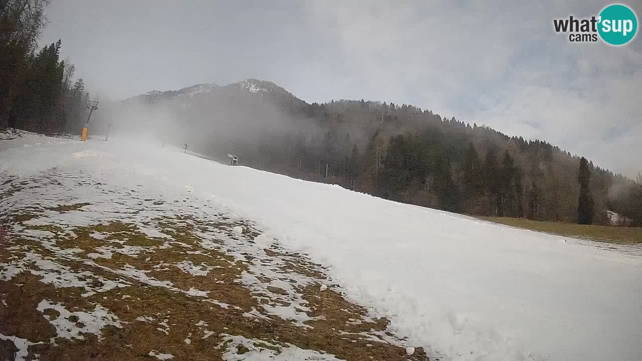 RTC Skigebiet Kranjska Gora | Brsnina