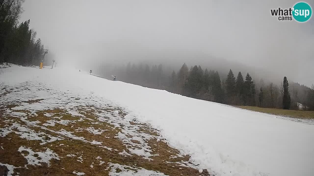 Kranjska Gora SKIJANJE | Brsnina