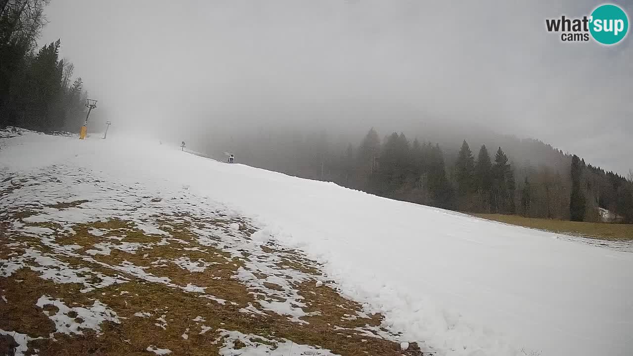 Kranjska Gora SKIJANJE | Brsnina