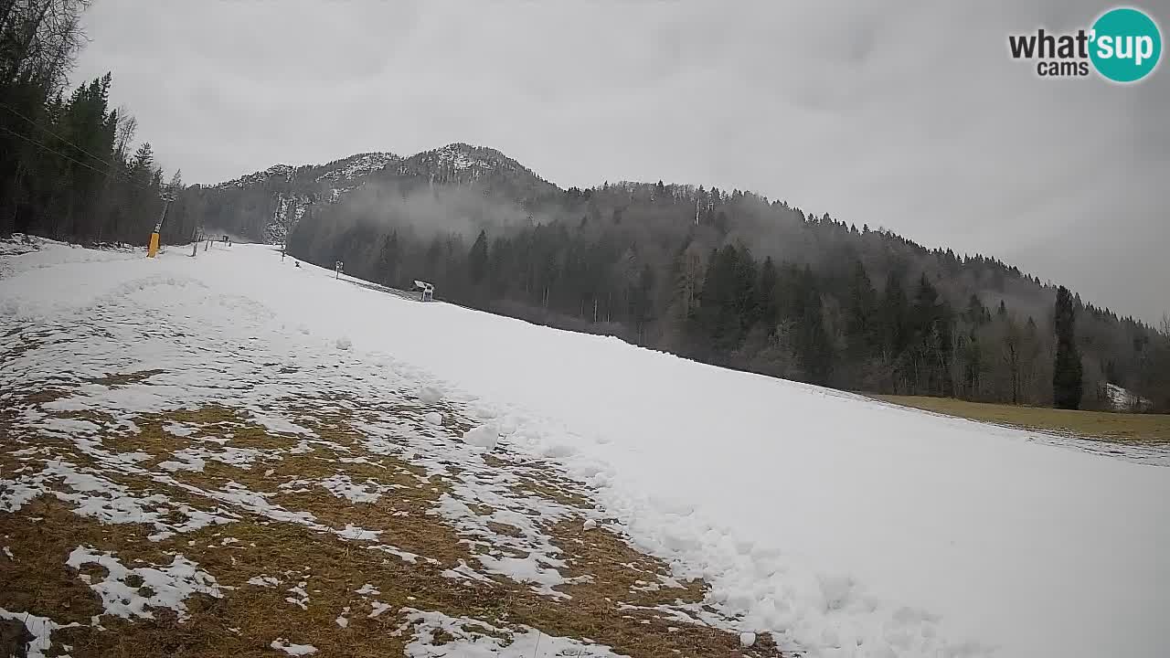 RTC Kranjska Gora | Brsnina