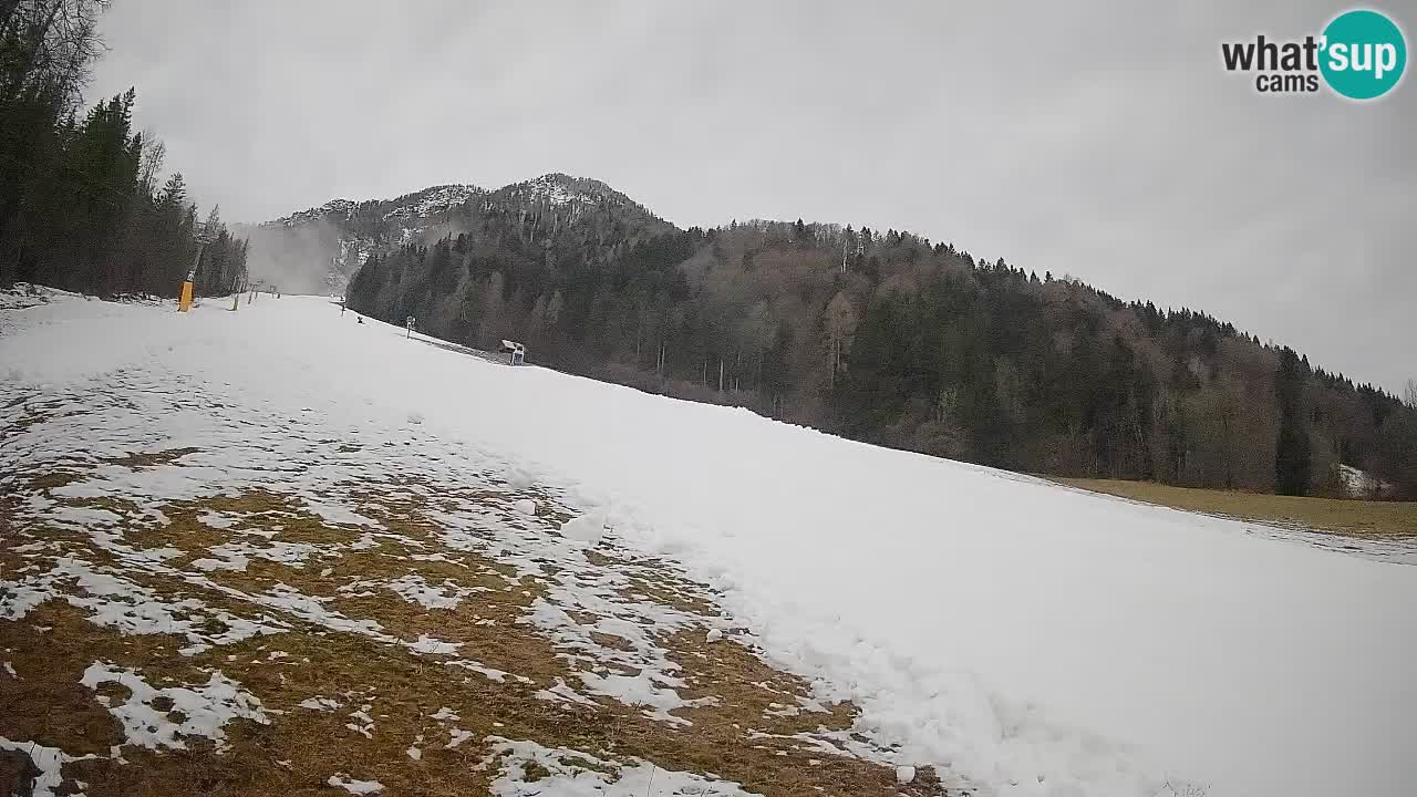 RTC Skigebiet Kranjska Gora | Brsnina