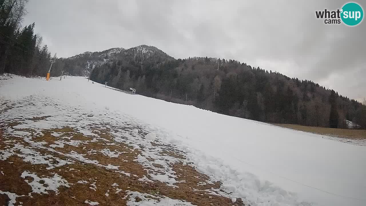 RTC Kranjska Gora | Brsnina