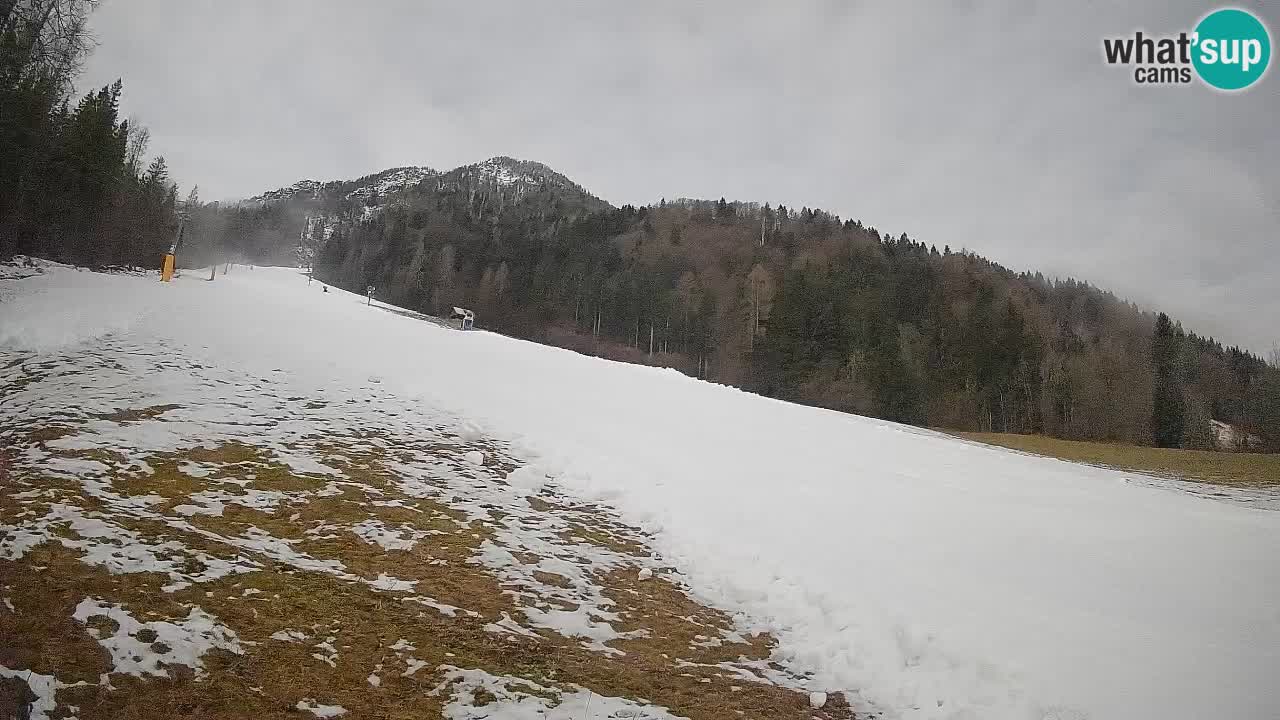 Esquí Kranjska Gora | Brsnina