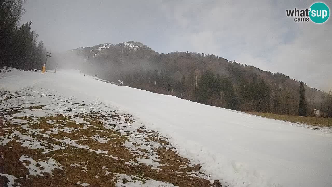 Kranjska Gora Station de ski | Brsnina