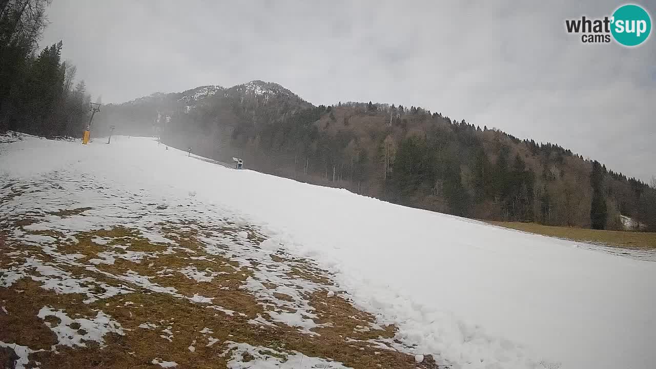 Kranjska Gora Station de ski | Brsnina