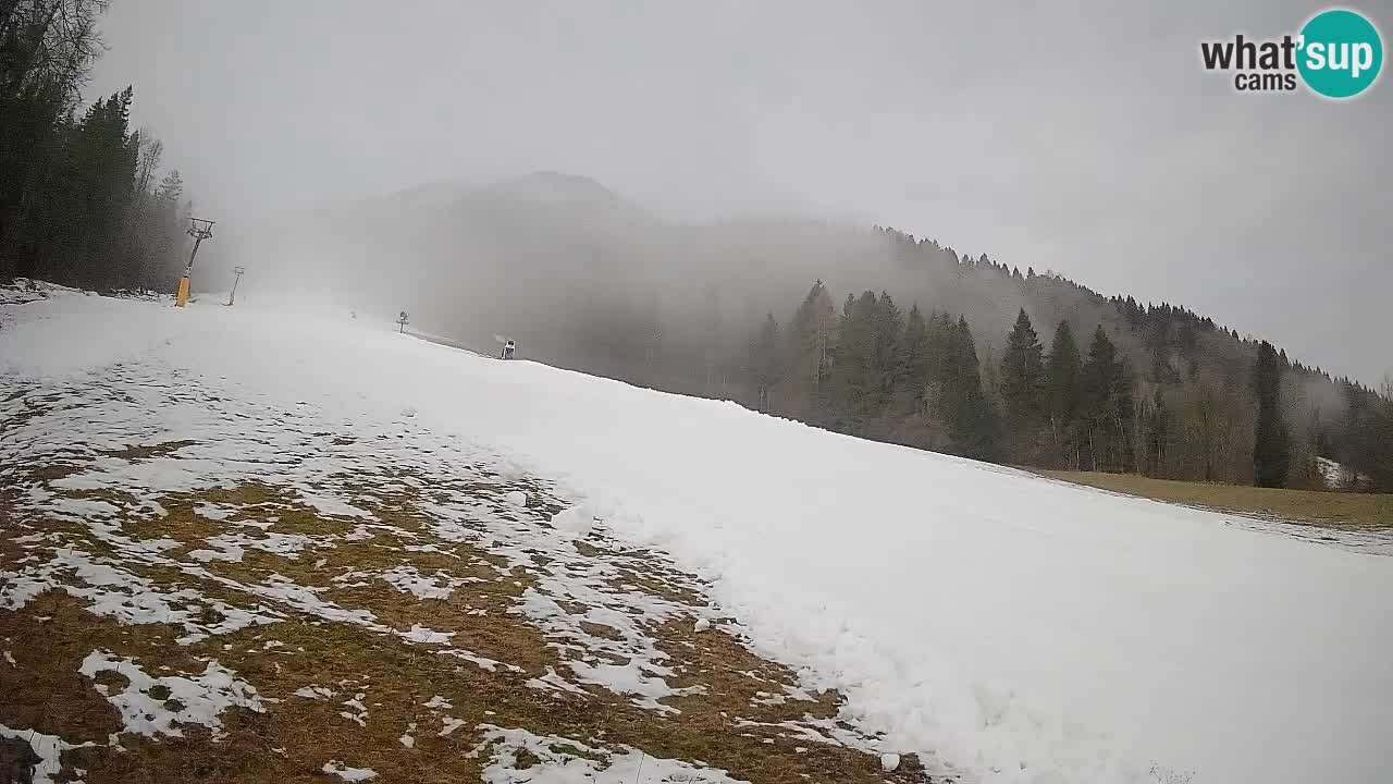 Ski Kranjska Gora | Brsnina