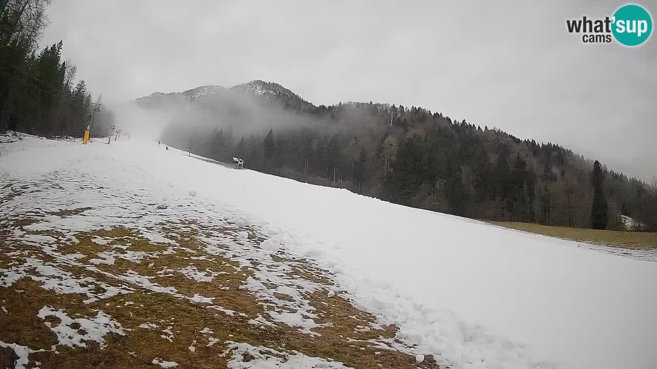 Kranjska Gora Station de ski | Brsnina