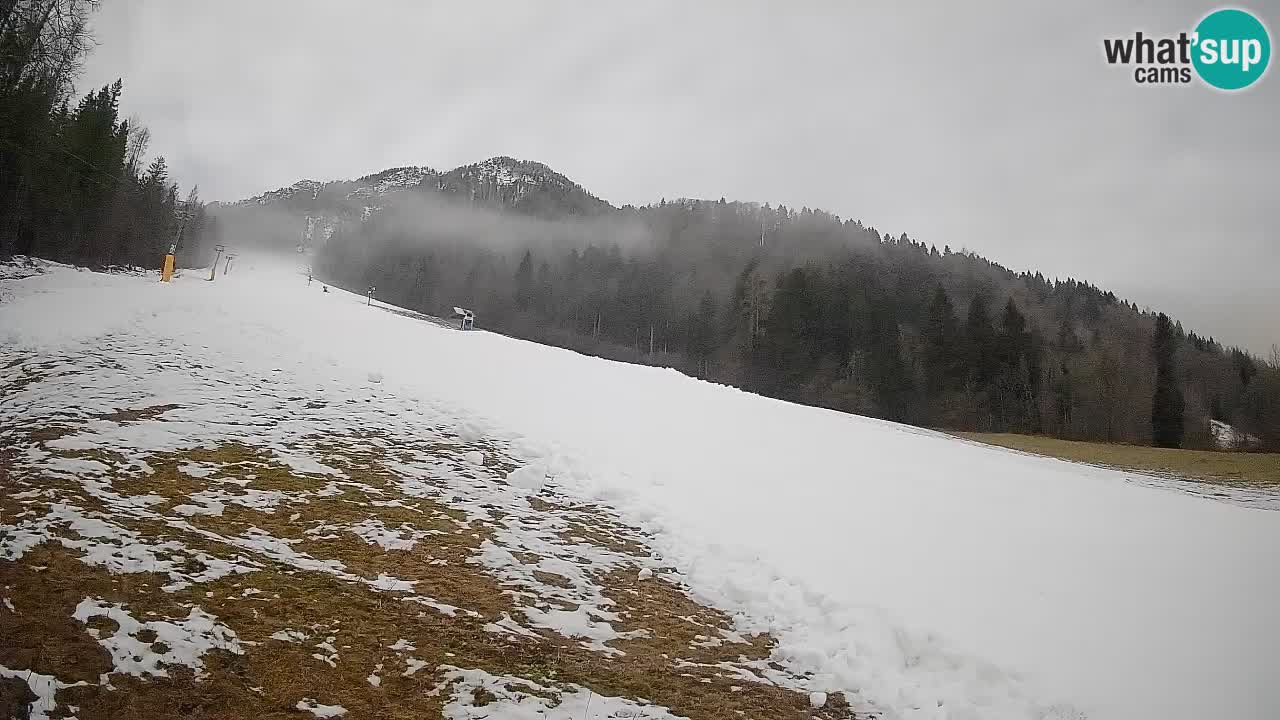 Esquí Kranjska Gora | Brsnina