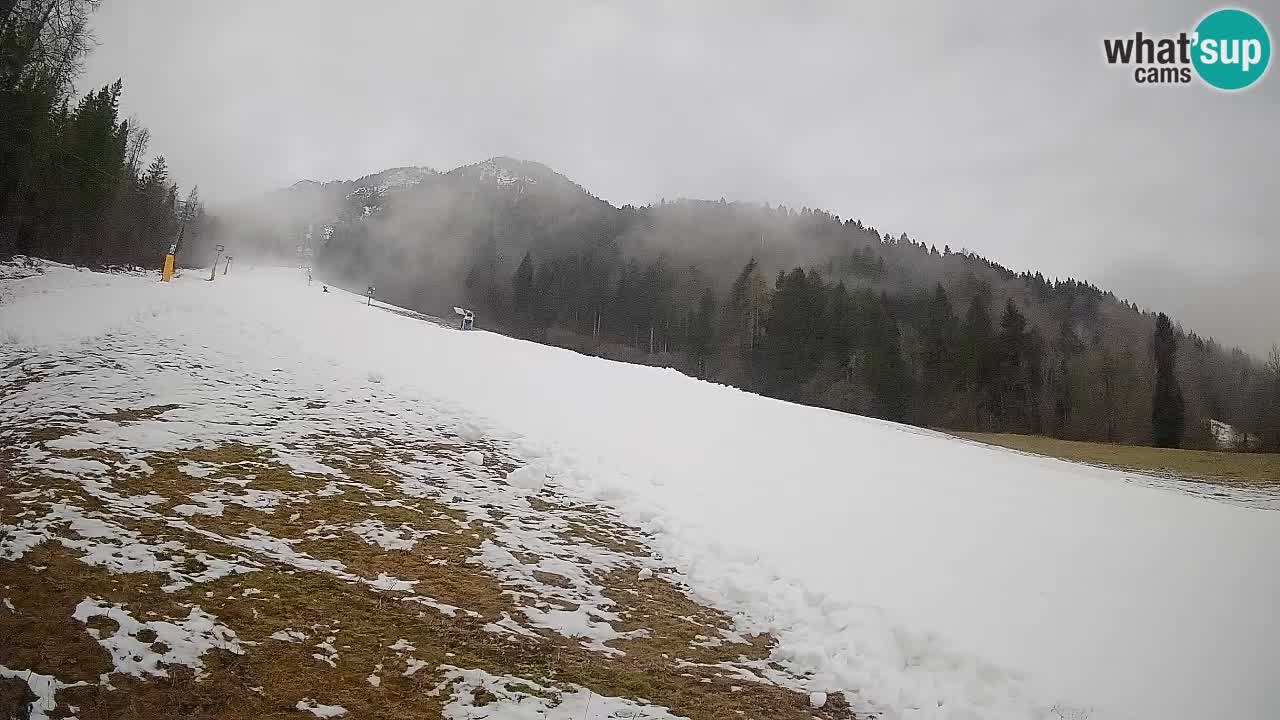Kranjska Gora SKIJANJE | Brsnina