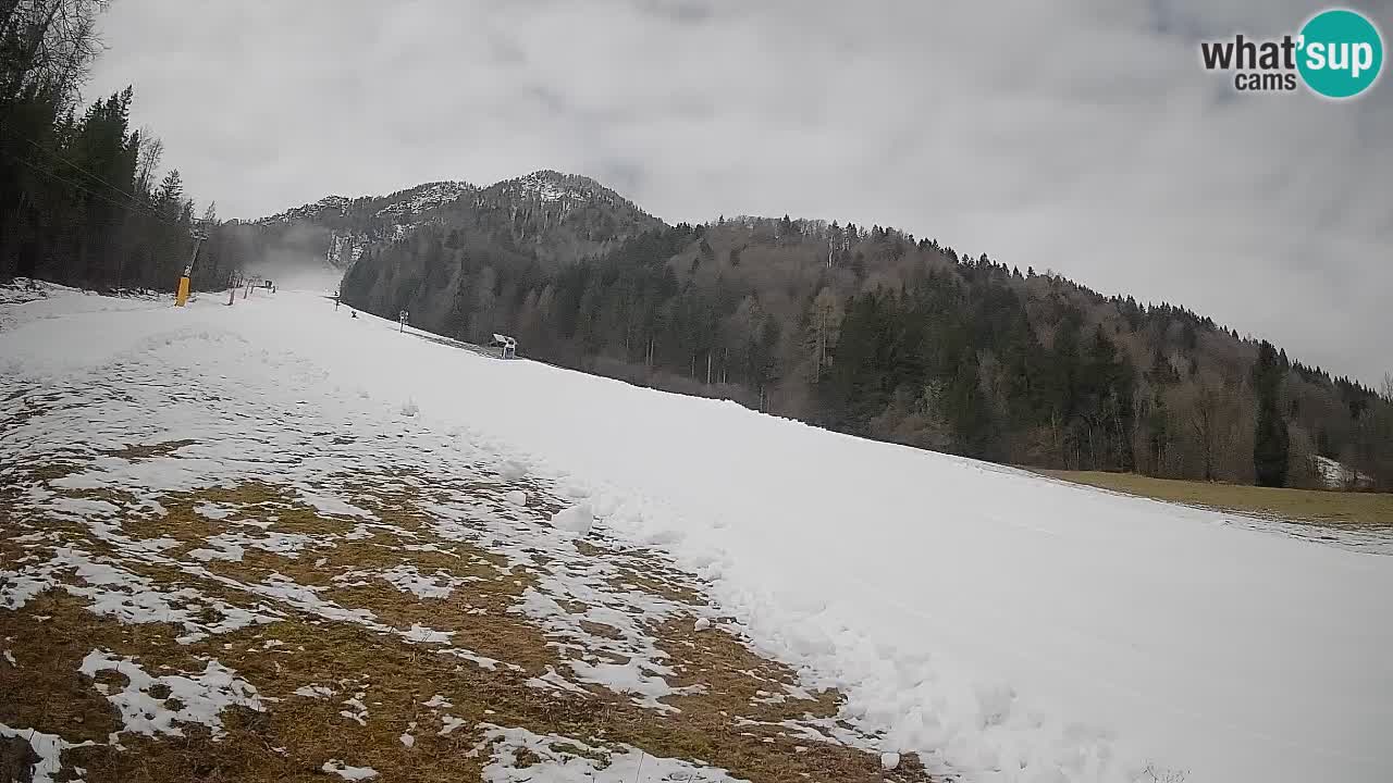 Kranjska Gora SKIJANJE | Brsnina
