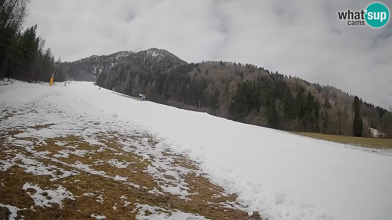 RTC Skigebiet Kranjska Gora | Brsnina