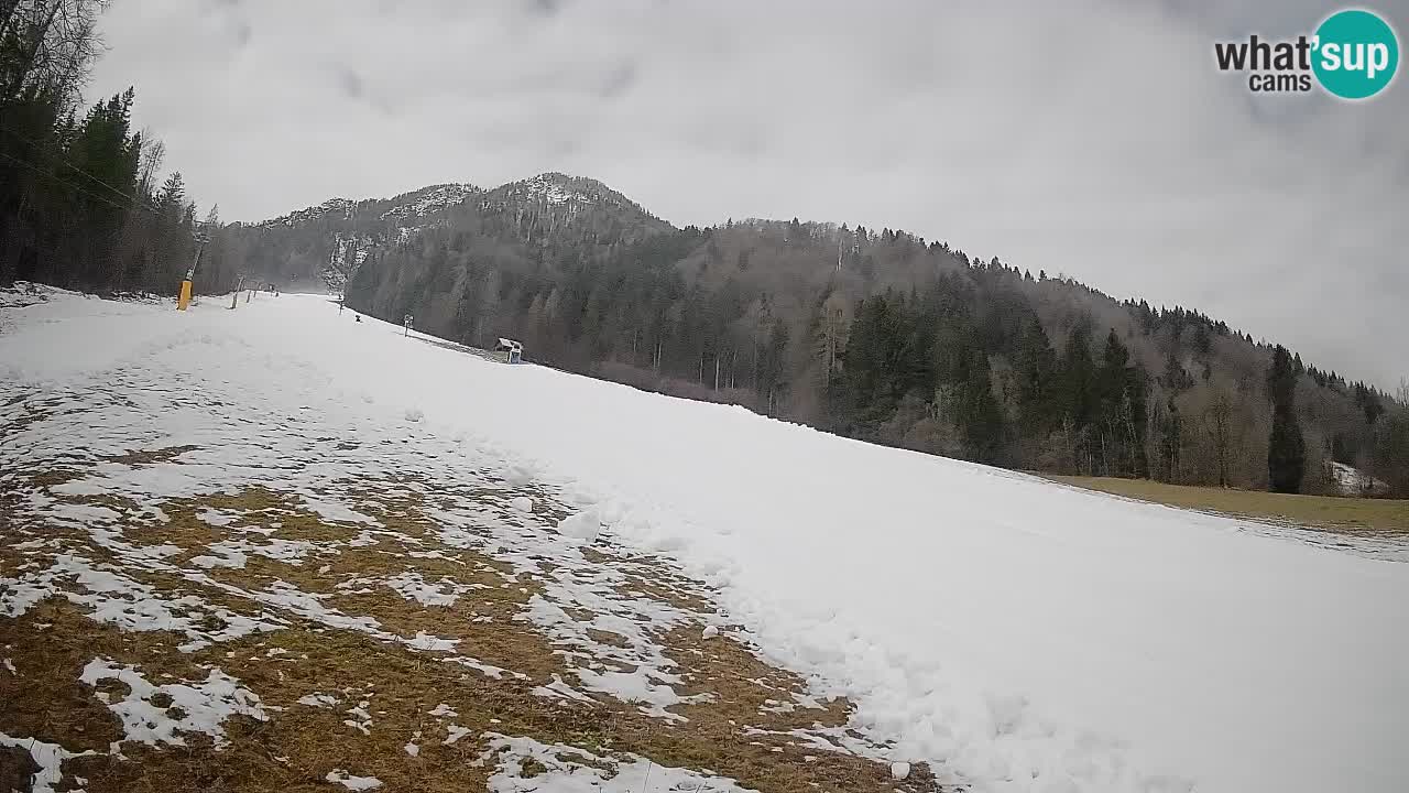 Ski Kranjska Gora | Brsnina
