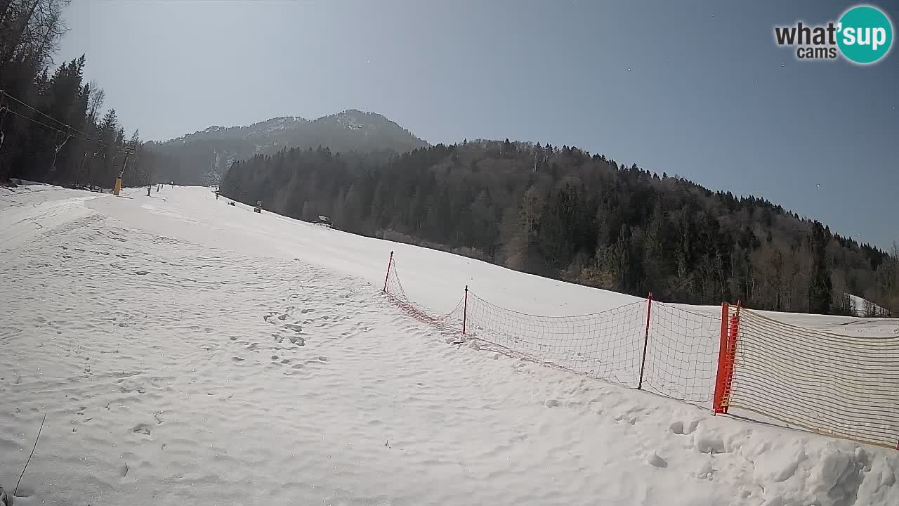 Kranjska Gora SKIJANJE | Brsnina
