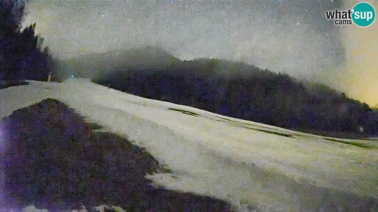 Ski Kranjska Gora | Brsnina