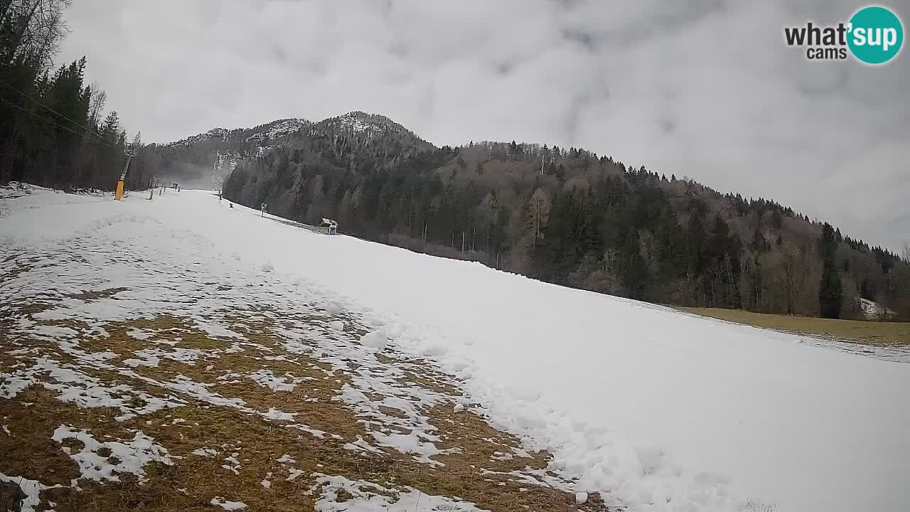 Esquí Kranjska Gora | Brsnina