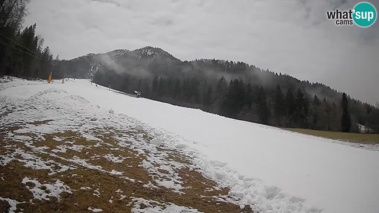 RTC Kranjska Gora | Brsnina